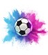 Pelota de fútbol Gender Reveal